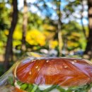뺑드마티네 | [창원/상남동] 빵 한 입에 유명한 이유가 설명되는 '뺑드마티네' 내돈내산 후기