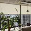 유로진여성의원 | 리비브와 비비브, 나에게 맞는 고주파레이저종류는 무엇일까?