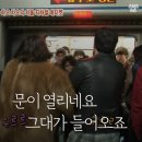 시원스크린 이미지