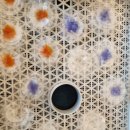 굿데이영농조합 이미지