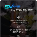 천안삼거리국화원장례식장