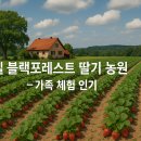 세계로관광농원 Daum카페