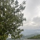 준기농장 이미지