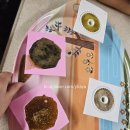 조팝꽃피는마을 | [가족사랑농촌체험]대산농촌재단 조팝꽃피는 마을 2025.10.09~2025.10.11(2박3일)