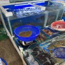 천수만마린