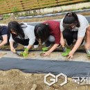 군남초등학교 국제뉴스
