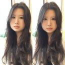 미새울배양실 화장실 | 아블로그제목뭐하디진짜