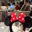 주식회사 새벽다섯시 | 4살 아이랑 도쿄 디즈니랜드 오픈런 후기(DPA/퍼레이드/어트랙션추천)