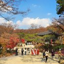 맑고 향기롭게 이미지