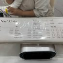 네일코인