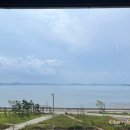 슬로울리인포레스트
