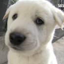 호스텔 세븐 이미지