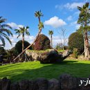 꽃들의 향연 이미지