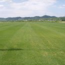 강산스포츠 이미지