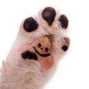 은평더맑은의원 이미지