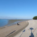 신안갯벌세발낙지 | 무안 조금나루. 낙지공원과 무안 노을길, 황토갯벌랜드 무안갯벌탐험다리