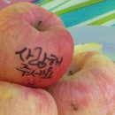 효심 농장 네이버블로그
