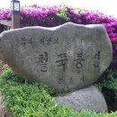 군포 철죽 동산 철죽꽃 이미지. 이미지