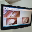 더푸른치과의원 이미지