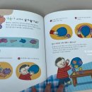 만 2세 첫 과학 전집으로 꼬꼬마과학자 후기