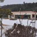 꿈의유치원 이미지