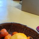 안집농장 이미지