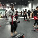 정의태권도체육관 이미지