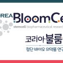 셀드림 이미지