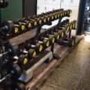 바이브 피트니스 이미지