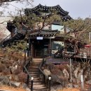 연우재 | 광릉수목원 맛집 낙지,수육,반계탕 몸보신 하기 "연우재"