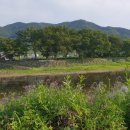 수청숲 네이버블로그