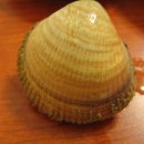 진도횟집 이미지