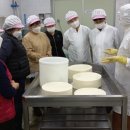 포천시농업기술센터 이미지