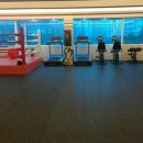 김기호복싱다이어트 이미지