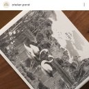 아틀리에폰드카페 이미지