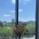 [w.1] 수성호텔 피오니홀 26년 상반기 계약 후기 (홀투어+야외)
