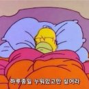 밀레니엄마트 | 재구매한 인생 꿀잠 베개! 템퍼 밀레니엄 SmartCool 베개 내돈내산 후기