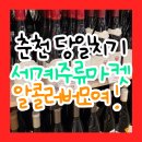 춘천세계주류마켓후기 와인 저렴하게 구입(+주차,가격,행사,와인투어)