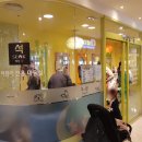 대구 어린이 미용실 대백프라자 8층 키즈 전용 미용실 메쟝팡-석