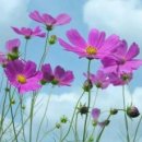 갈바람 - 미추홀구 | 갈바람