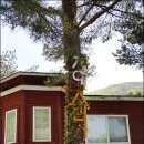 산내황금펜션 이미지