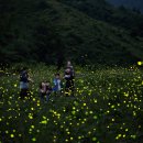 반딧불 자연휴양림 이미지