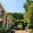 구룡공원입구 이미지