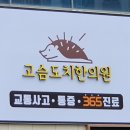 고슴도치한의원 티스토리