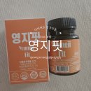 TMC | 영지핏 후기, 상황버섯 + TMC 조합 영지핏