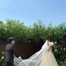제이의정원 | #스튜디오,[제이로그 스튜디오] 웨딩촬영 후기_컨셉(1)꽃이 가득하고 그리너리한 무드(실외/정원)