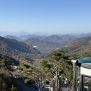 피네타 | 밀양 애견동반 펜션 피네타 이용 후기