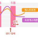 배란때와 생리때 두통오는 이유 이미지