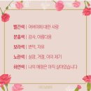 선영이꽃집