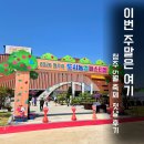 애플PC | 청주 유채꽃밭 어디 갈까?청주시 도시농업페스티벌 다녀온 후기 (+스탬프투어·파브르관·추억의 도시락)